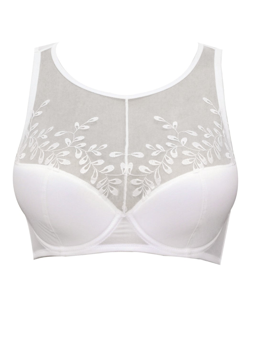 clear plus size bra